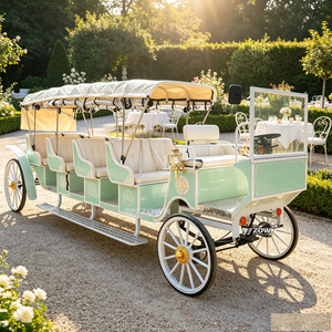 Calèche de tourisme vintage multi-passeagers à chevaux, avec structure métallique robuste, pour parcs à thème et événements touristiques en extérieur - Product Image 1