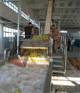 Berry <span class=keywords><strong>Jam</strong></span> Processing Line mit Vakuum konzentration und Pektin kontrolle für Erdbeer-, Blaubeer-und Himbeer anwendungen - Product Image 2