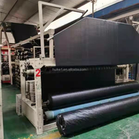 Paillis de sol en plastique noir pour couverture agricole robuste tissé en PP