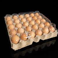 Boîte et plateau à œufs en plastique PET de qualité alimentaire, écologiques, antichoc, avec couvercle transparent, pour fermes et supermarchés, approvisionnement OEM, lot de 30