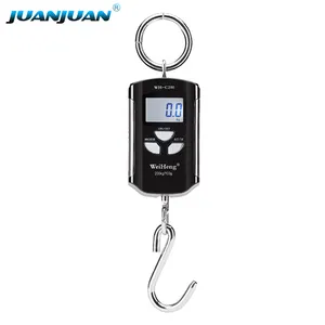 WH-C200 digital mini 200kg 100g for industrial agricultural Micro crane smart electronic luggage Scale