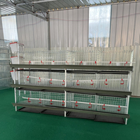 Cage à poulets de chair à 4 niveaux en acier galvanisé, capacité 60/80 poulets adultes, à vendre