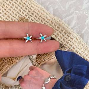 Pendientes de acero de titanio con estrella de mar de concha de playa para mujer, sin necesidad de quitar, diseño de nicho, simple, dulce y versátil - Product Image 5