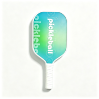 Raquette de pickleball en fibre de carbone approuvée USAPA, noyau en nid d'abeille de 16 mm, logo personnalisé, vente en gros, raquette d'entraînement pour adultes