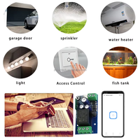 Interruptor Inteligente Wifi EweLink, DC 7V 12V 24V 48V USB 5V, Módulo de Relé de Contacto Seco, Temporizador, Control por Voz, Compatible con Alexa y Google Home