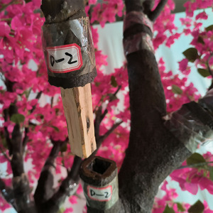 Bán Buôn Đám Cưới Vườn Trang Trí Nội Thất Thanh Lịch Tam Giác Mận Cây Hoa Lụa Sợi Thủy Tinh Nhân Tạo Nhà Máy Cho Đám Cưới Trang Trí - Product Image 4