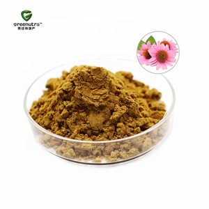 Ekstrak Bubuk <span class=keywords><strong>Echinacea</strong></span> Purpurea Ekstrak Bunga <span class=keywords><strong>Echinacea</strong></span> Purpurea 4% Polifenol Ekstrak Bubuk <span class=keywords><strong>Echinacea</strong></span> - Product Image 3
