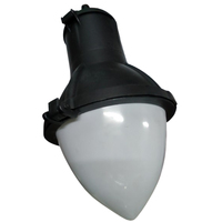 Luminaire extérieur LED décoratif en forme de goutte d'eau, IP66, 100W, AC, contrôle intelligent, détecteur de mouvement, certifié CE ROHS, étanche