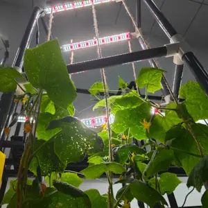 Kits de cultivo de jardim interno vertical com sistema de vasos de plantas de escalada com luz LED cresce o espectro misto 660nm