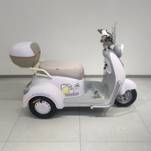 China <strong>Compact</strong> Sized 48V Three Wheeler Electric Adult <strong>Tricycle</strong> Lead Acid Battery Open Body Passenger <strong>Tricycle</strong> - Product Image 5