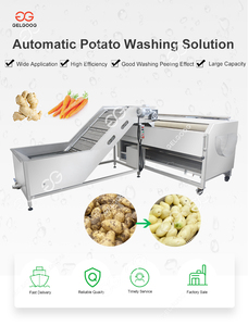 Spazzola Eddo lavapatate detergente per la pulizia della carota macchina per il lavaggio di frutta e verdura - Product Image 2