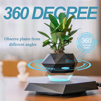Magnétique Lévitation Bonsaï Plante Flottante en Bois Personnalisé DIY Décoratif Air Bonsai Cup