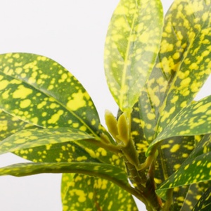 Plante artificielle Banian Doré avec feuilles en plastique changeantes de couleur pour la décoration de jardin et l'inventaire de vente en gros - Product Image 2