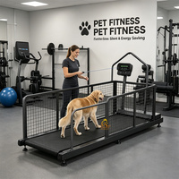 Tapis roulant d'entraînement d'agilité en acier inoxydable écologique EUR VET avec vibration automatique pour grands chiens et petits animaux