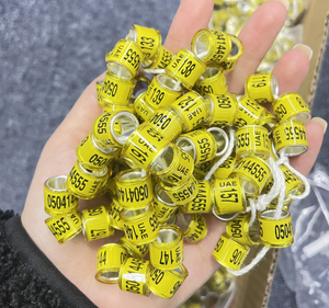 Fasce di piccione Multicolor anelli di zampa di colomba anelli di piccione per pulcini piccioncini piccioncini quaglia piccolo pollame // - Product Image 5