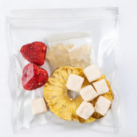 Thé aux herbes artisanal FD lyophilisé ultra-intensif 20g Mega-Sachet Fraise Ananas Noix de Coco 360g Éclat Naturel Spécial