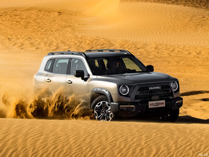 HAVAL Dargo Big Dog, Nuevo SUV a Gasolina de China, <span class=keywords><strong>el</strong></span> <span class=keywords><strong>Mejor</strong></span> Reloj de Pulsera con Reloj de Oro - Product Image 5