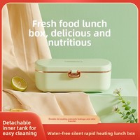 Boîte à lunch chauffante électrique en acier inoxydable 304, boîte bento thermique sans eau, conteneur hermétique alimenté par voiture avec double couvercle