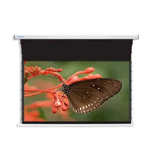 SCREENPRO 110Inch ALR Màn Hình Máy Chiếu Cơ Giới Thả Xuống Trong Nhà Đứng Screen16: 10 Cho UST Siêu Ngắn Ném Chiếu