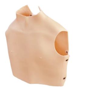 Simulador de Auscultación Cardiopulmonar, Modelo de Enseñanza Clínica de Sonidos Cardíacos y Pulmonares para Entrenamiento Inteligente (Estilo Bikie) - Product Image 1