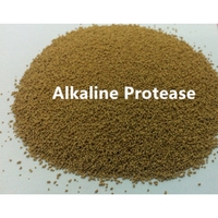 Enzyme protéase alcaline à bon prix