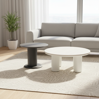 Table basse en bois décorative en promotion pour la maison, le bureau ou la salle à manger – Design simple, table basse ronde en bois, table basse moderne en bois