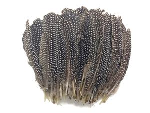 Pluma <span class=keywords><strong>de</strong></span> Gallo <span class=keywords><strong>de</strong></span> Guinea Natural <span class=keywords><strong>de</strong></span> 15-20 cm, <span class=keywords><strong>de</strong></span> Alta Calidad y al <span class=keywords><strong>Precio</strong></span> Más Bajo, Venta al Por Mayor, Fabricante Chino - Product Image 2