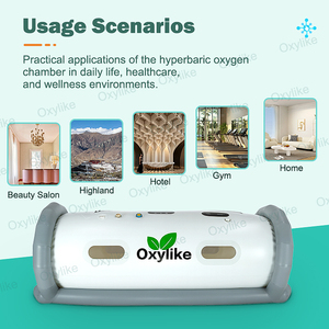 Cámara de Oxígeno Hiperbárico OLS-L2 de Alta Gama, Tipo Oxylike, 1.5 ATA, para Terapia de Oxígeno en el Hogar, Bienestar y Cuidado de la Salud, Personalizable OEM - Product Image 4