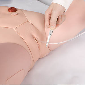 Modè<span class=keywords><strong>le</strong></span> d'enseignement de cathétérisme féminin en PVC DARHMMY pour les sciences médicales pour <span class=keywords><strong>la</strong></span> formation aux compétences infirmières <span class=keywords><strong>dans</strong></span> les écoles et les hôpitaux - Product Image 4