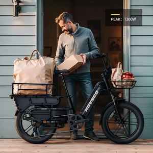 Bicicleta Eléctrica Familiar de Cola Larga con Neumáticos Anchos para Carga, 250W 750W, desde Almacén de la UE - Product Image 4