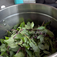 Machines professionnelles de grande capacité pour hacher les légumes, broyeur à légumes en acier inoxydable