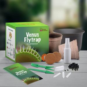 Kit de démarrage Venus Flytrap de vente chaude cultivez vos propres plantes carnivores - Product Image 2