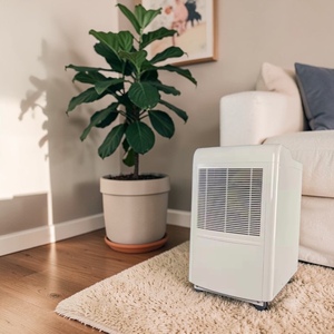 DL for commercial Dehumidifying Compressor <b>Dehumidifier</b> with External Drain Connector and 2-Digit LED Display - Product Image 1