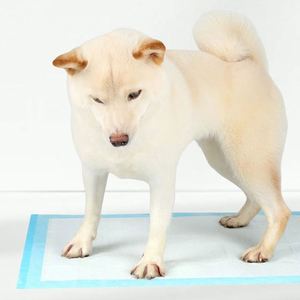 High Quality <b>Puppy</b> Training Pad Waterproof Wood Material Disposable Super Absorbent Dog Pee Pad - Product Image 4