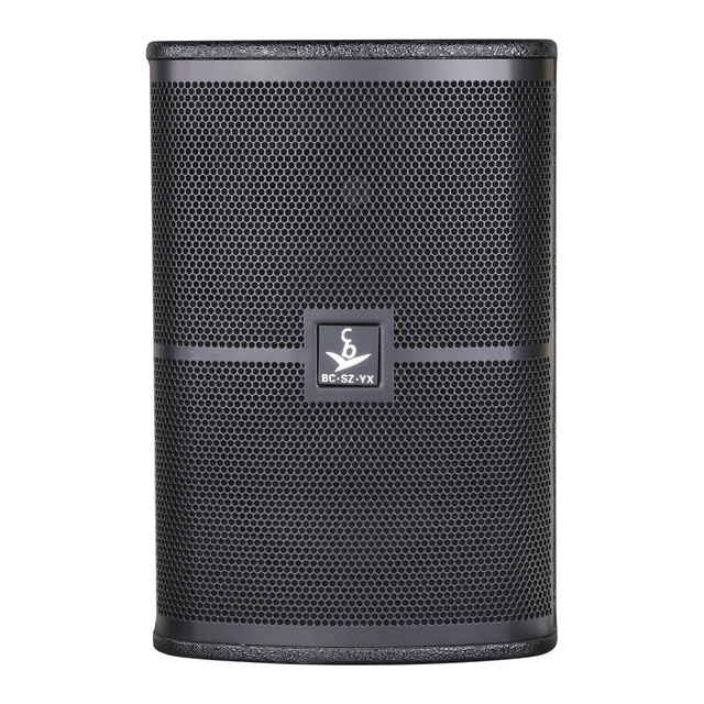 250W 10-Inch Professional Speaker (2-Way Bass Reflex) Passive Sound Music System Professional Speaker for Meeting Rooms