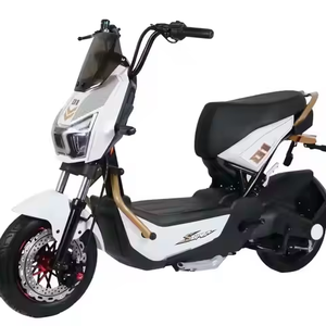 Cao-Tốc Độ Đĩa Phanh Xe Tay Ga Điện Xe Máy 2 Chỗ Ngồi 1000W Dành Cho Người Lớn Xe Đạp Điện Xe Máy - Product Image 1