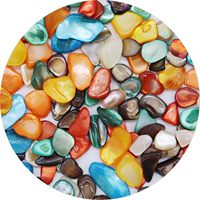 Coquillages bruts concassés pour l'artisanat, le bricolage, les remplissages de vases, la décoration de table, les cadeaux de fête, la décoration de mariage, les plantes succulentes, le recouvrement du sol