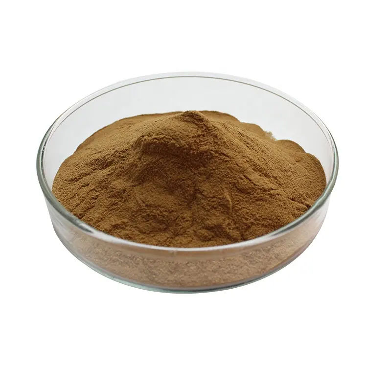 Oem China Plant Extract Poeder Chaga Extract