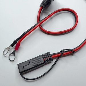 Özel 2 Pin 14AWG SAE O halka terminali koşum 10A 20A sigorta pil uzatma kablosu montaj tel koşum için tekne araba ATV - Product Image 2