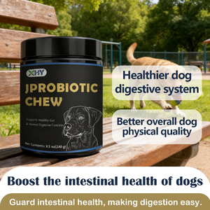 Suplemento de Probióticos para Cães em Forma de Guloseimas, Probióticos Macios com Enzimas Digestivas para Cães - Product Image 4