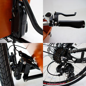 Entrepôt néerlandais de l'UE, vélo à 3 roues avec boîte de chargement, <span class=keywords><strong>tricycle</strong></span> de chargement à chargement frontal à vendre, vélo de chargement électrique - Product Image 6