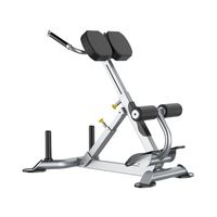 Banc d'extension dorsale pour centre de fitness commercial, machine d'extension dorsale JLC-H7109, chaise romaine d'extension dorsale
