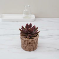 Mini plante succulente artificielle en forme de rosette dans un pot texturé tressé, fausse verdure en pot pour la décoration de la maison, du bureau, du bureau, de la table