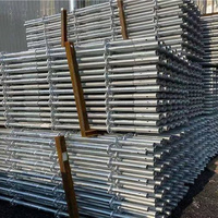 Échafaudage modulaire à anneaux galvanisé à chaud en acier Q235/335 pour support de coffrage de construction