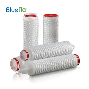 Hangzhou Darlly Imported High Quality PES Pleated Filter Cartridge 0.2 Membrane Filters 10/20/30/40'' For Sterile Applications