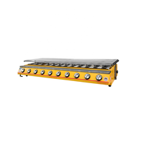 Grill à gaz GPL commercial à 10 brûleurs, rôtissoire automatique pour viande, en acier inoxydable, marque SC, options multicolores, garantie 3 mois