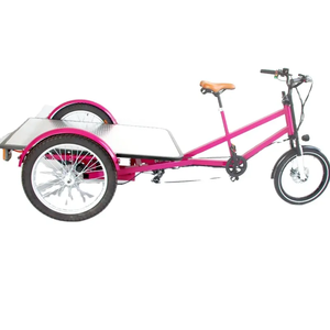<span class=keywords><strong>Remorque</strong></span> à plateau plat 850 watts, <span class=keywords><strong>vélo</strong></span> cargo électrique robuste, Bakfiets <span class=keywords><strong>pour</strong></span> livraison, tricycle à moteur à 3 roues à vendre - Product Image 1