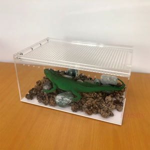 Maisons plastique pour animaux domestiques, Structure en acrylique, boîte d'élevage, petit boîtier transparent pour araignée, pour Reptile - Product Image 4