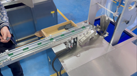 Machine d'emballage et de scellage semi-automatique Vgopack avec convoyeur d'alimentation manuel pour scellage 3 côtés et sachets oreillers