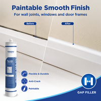 Scellant acrylique à base d'eau blanc de 300 ml, populaire sur le marché américain, séchage rapide, peignable, mastic pour peintre